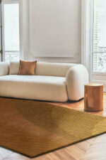 Ochre Ammonite - Image 3