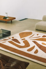 Alpha Terracotta - Image 3